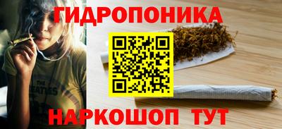 дмт Сланцы