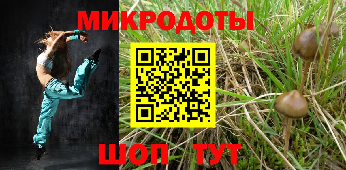 Псилоцибиновые грибы мухоморы Новошахтинск