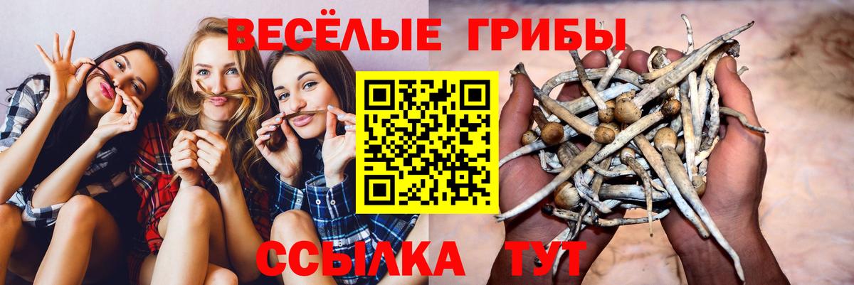 Новошахтинск  Псилоцибиновые грибы GOLDEN TEACHER  Галлюциногенные грибы Magic Shrooms  Вход с VPN 